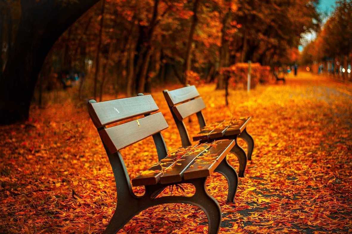 Peaceful outdoor scene representing seasonal breathing practices with autumn leaves and soft natural light